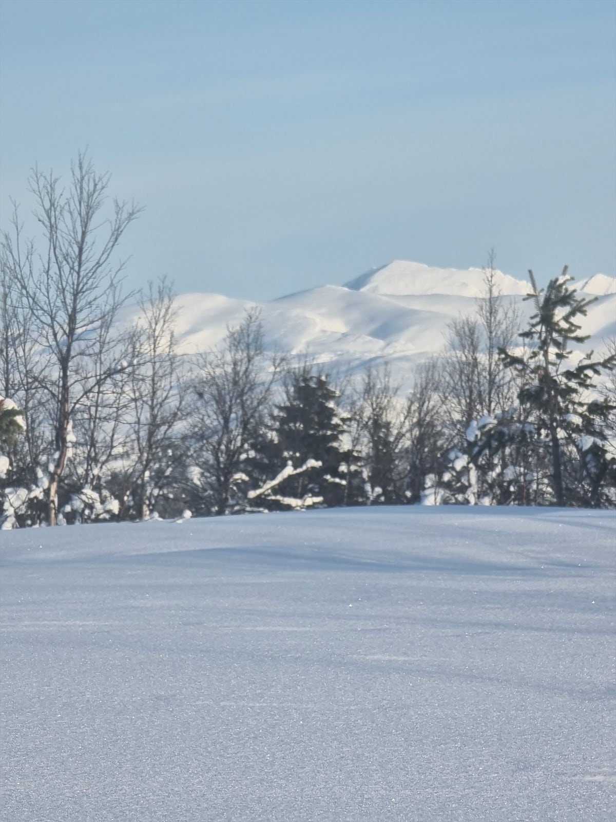 Vinteridyll. Galleribilde