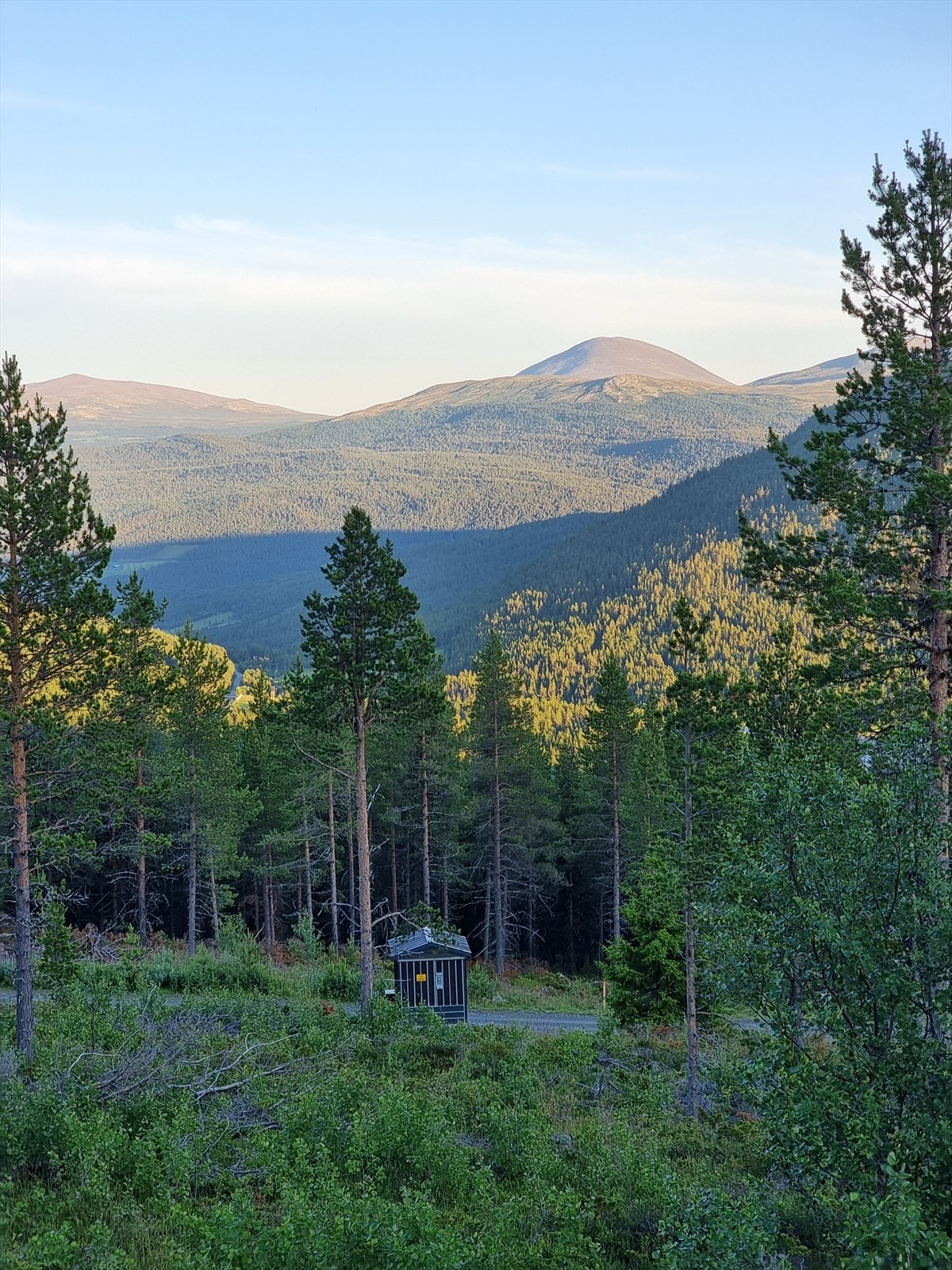 Heidalsmuen sett fra tomtefeltet. Galleribilde