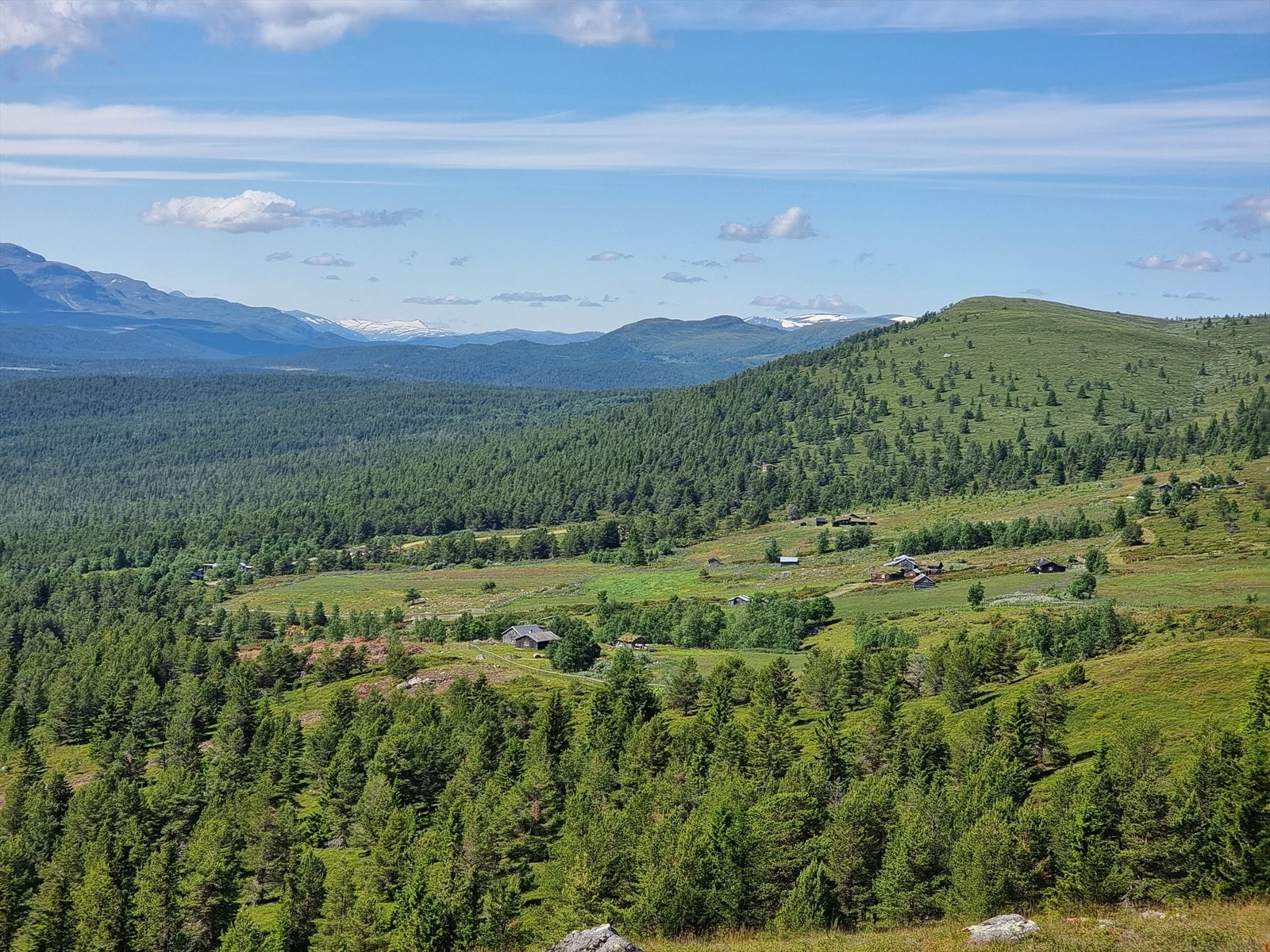 Bringen Galleribilde