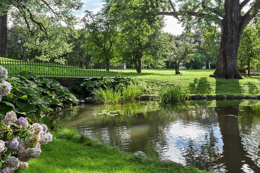 Nærområde- Botanisk hage. Galleribilde
