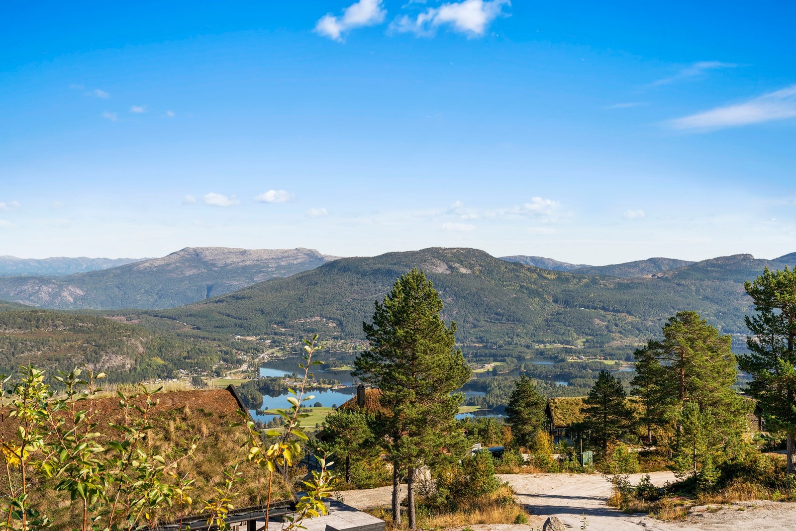 Velkommen til visning! Galleribilde