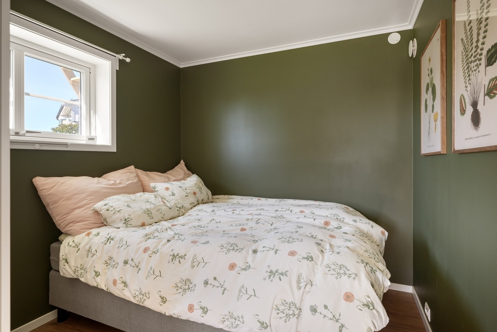 Soveorm Galleribilde