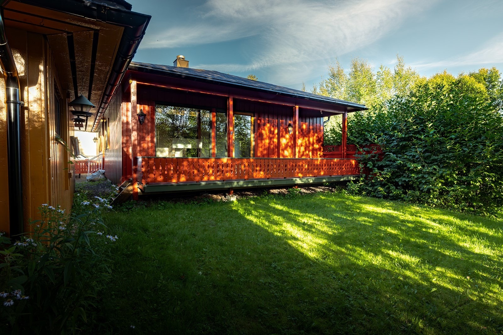Plen med tuntrær og ulik beplantning Galleribilde