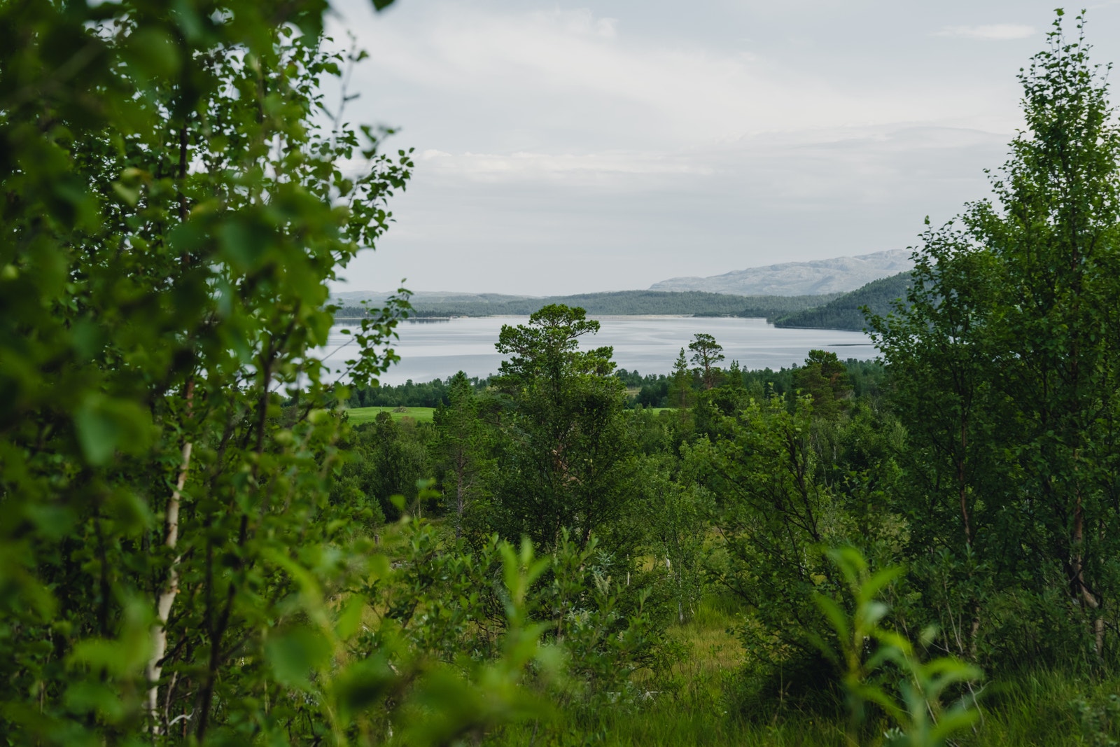 Bilde fra tomteområdet Galleribilde