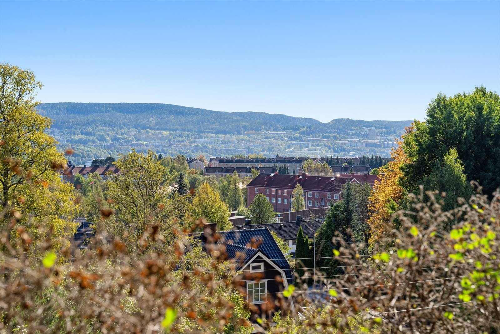 Fantastisk panoramautsikt med åpen sikt mot nærområdet og frodige grøntområder. Galleribilde