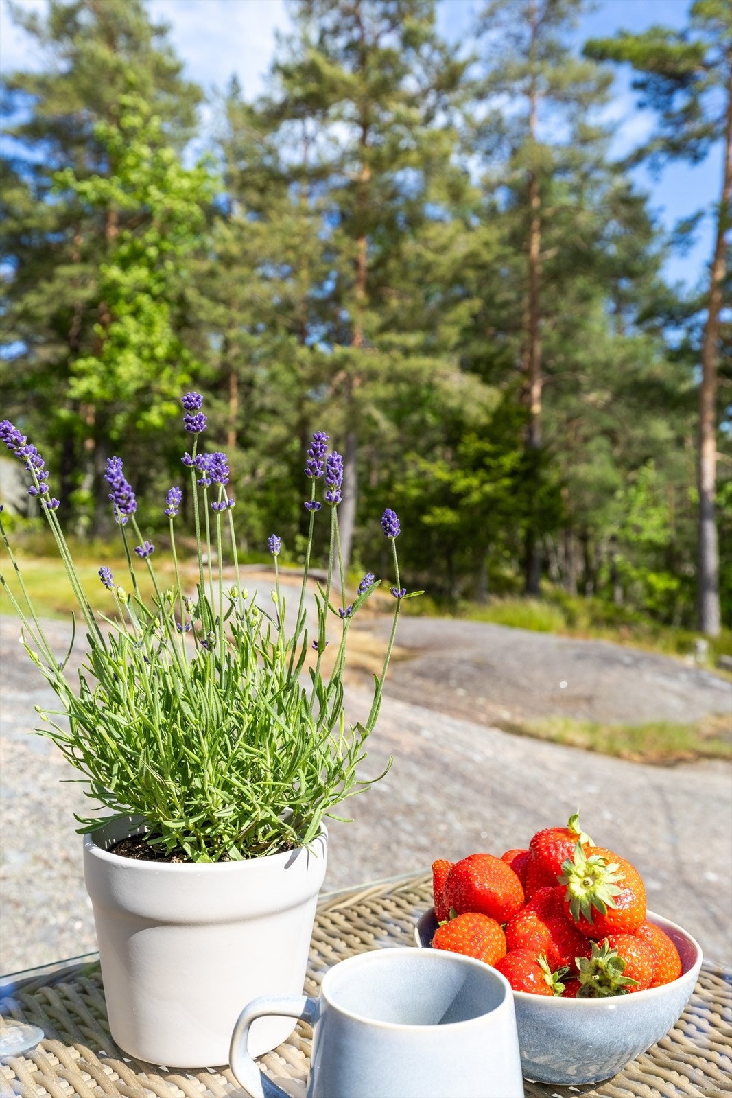 Detaljbilde Galleribilde
