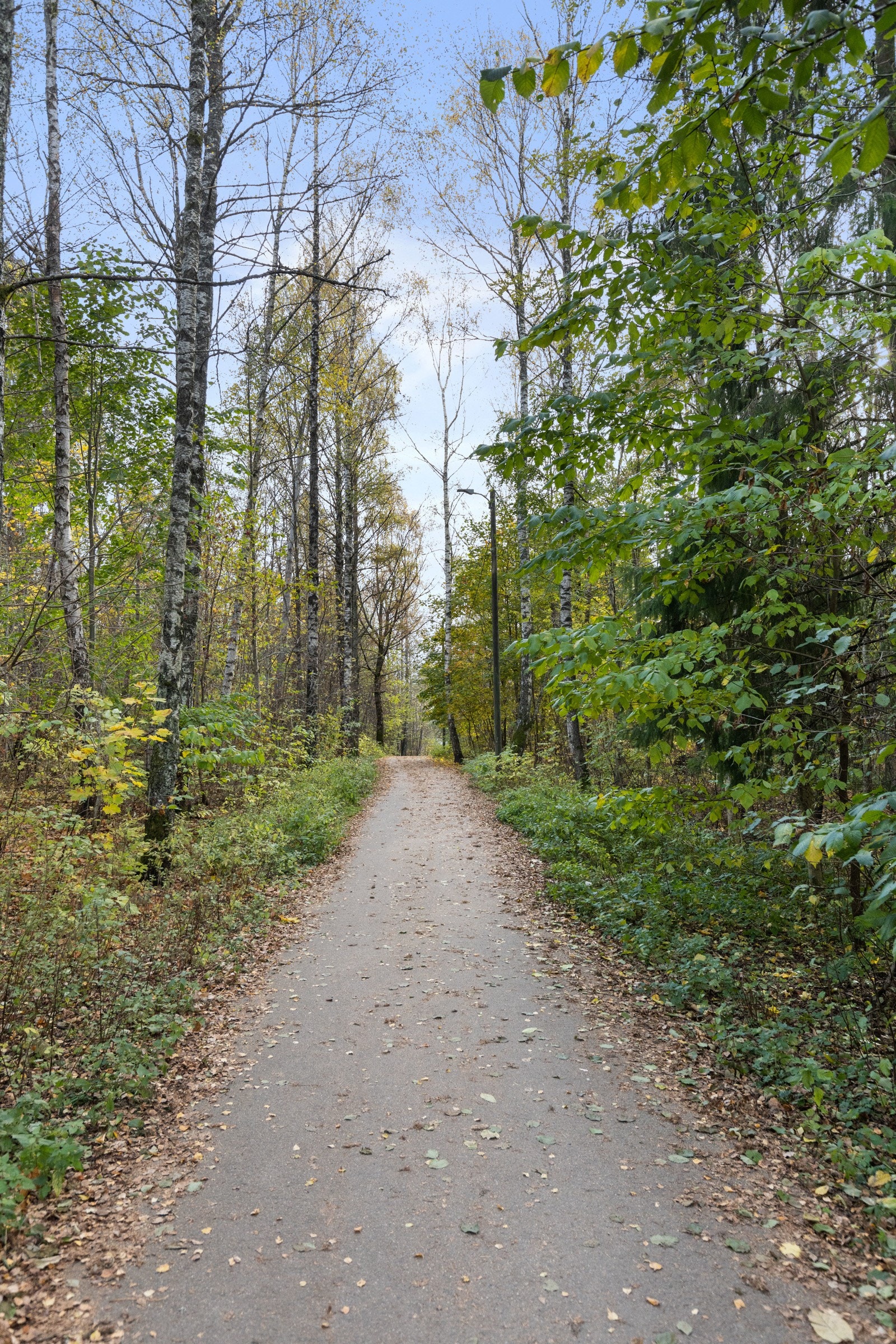 Hyggelig sti fra inngangsdøren mot T-bane (6min) og Rema 1000 (2min) Galleribilde