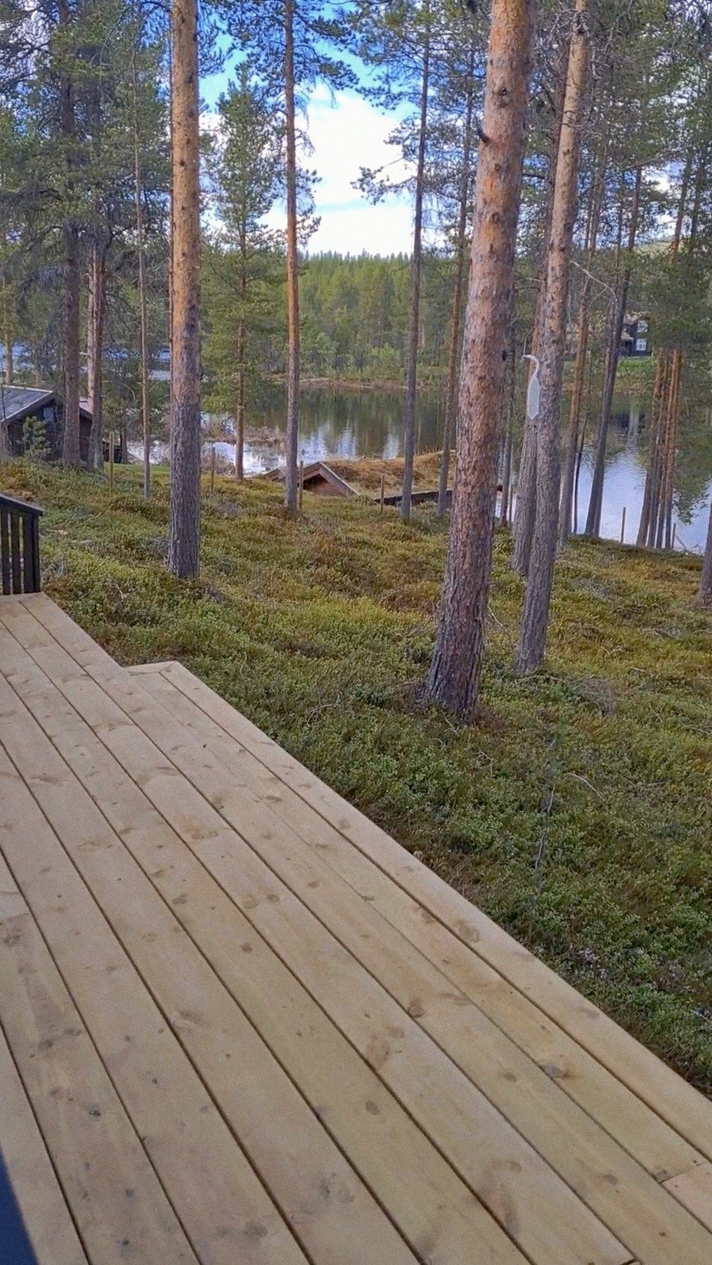 Selgers private bilde. Galleribilde