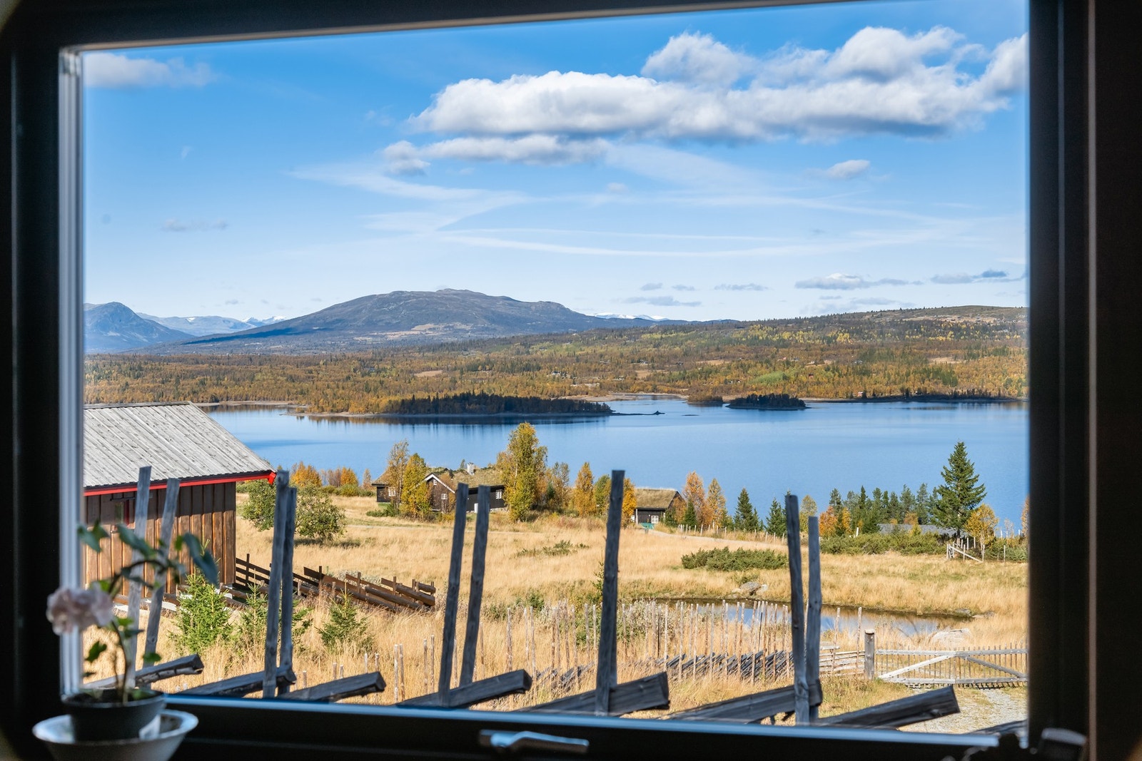 Utsikten fra stuen. Galleribilde