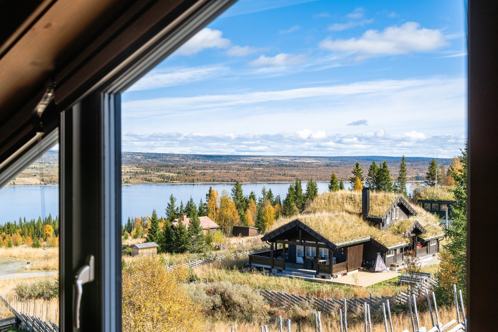 Utsikten fra hemsen. Galleribilde