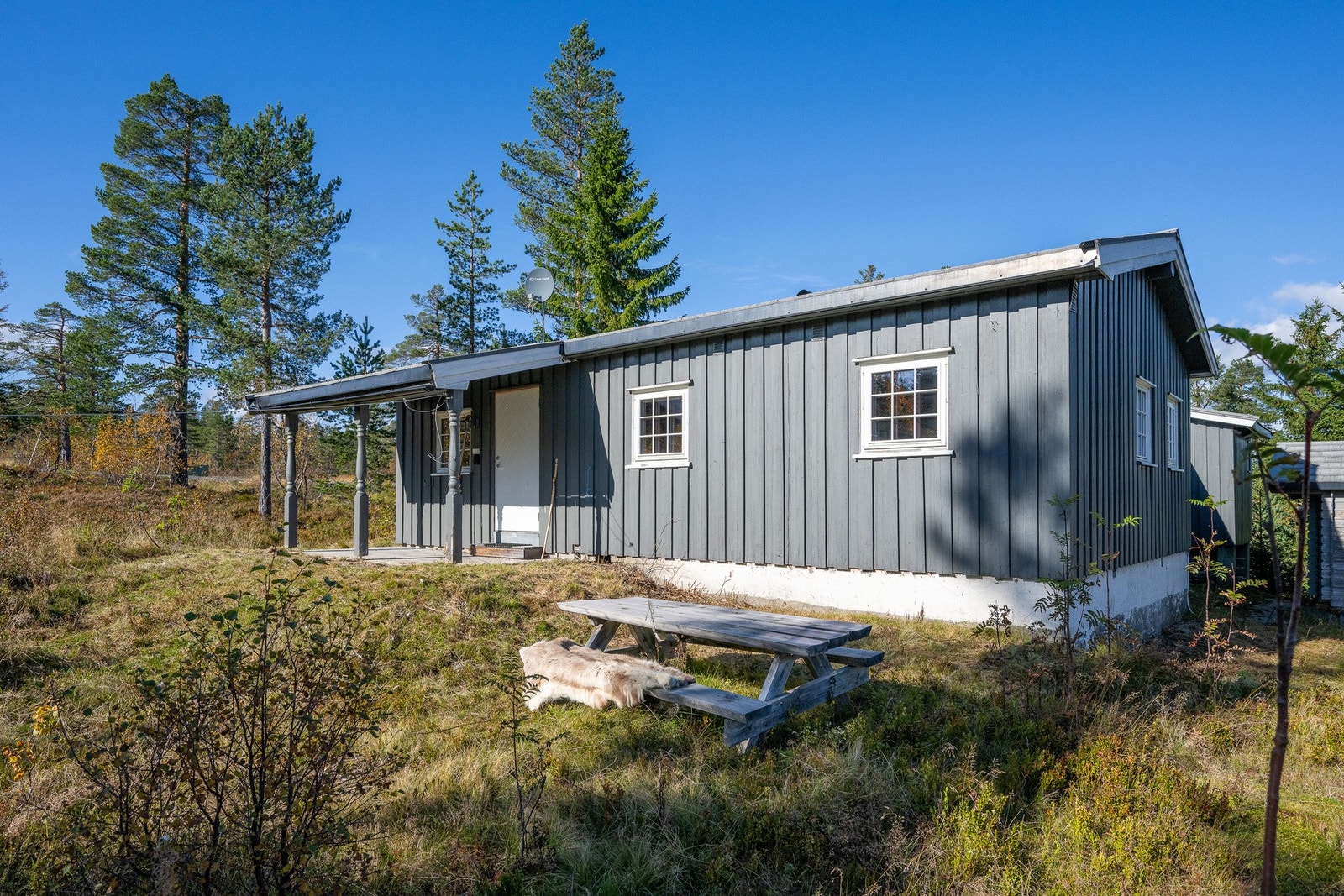 Hytta står på koselig naturtomt Galleribilde