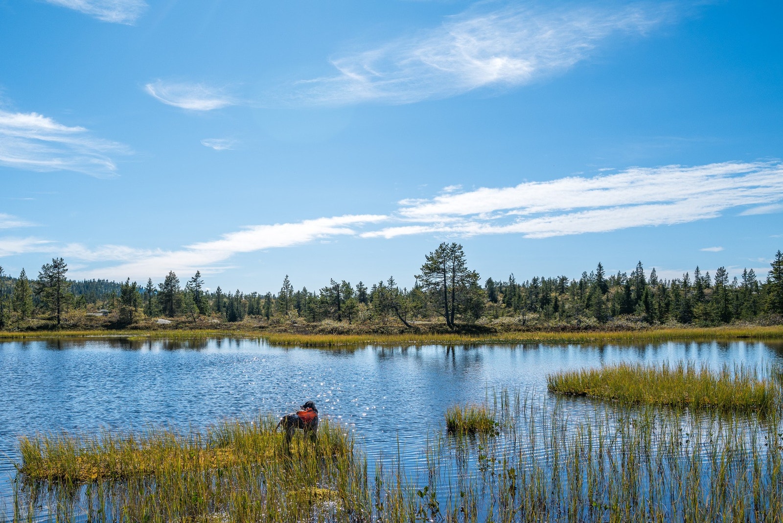 Flere fine fiskevann oppå fjellet Galleribilde