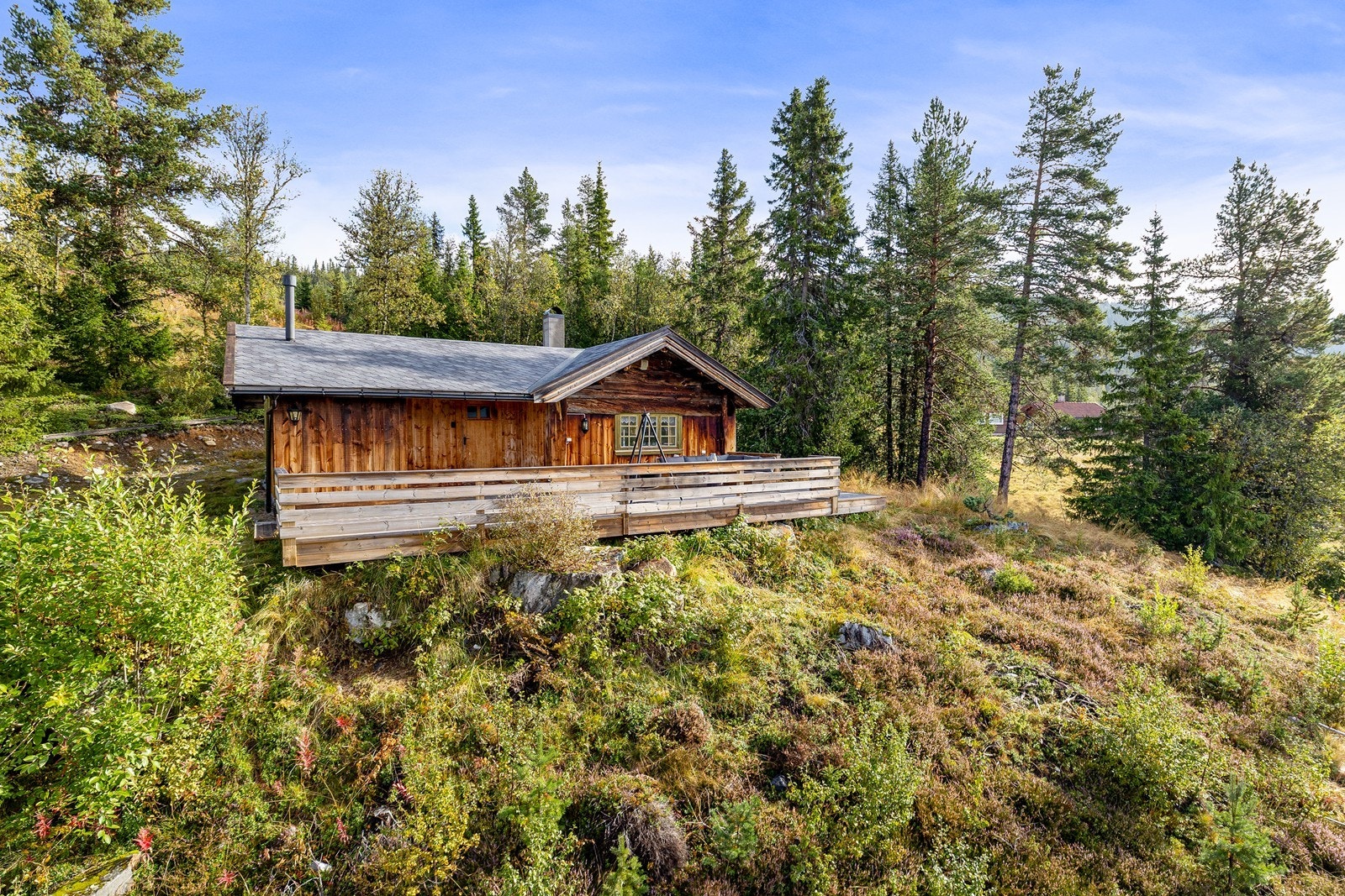 Hytta har en usjenert beliggenhet i naturskjønne omgivelser Galleribilde