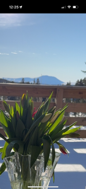 Utsikt til Gaustatoppen - Privat foto Galleribilde