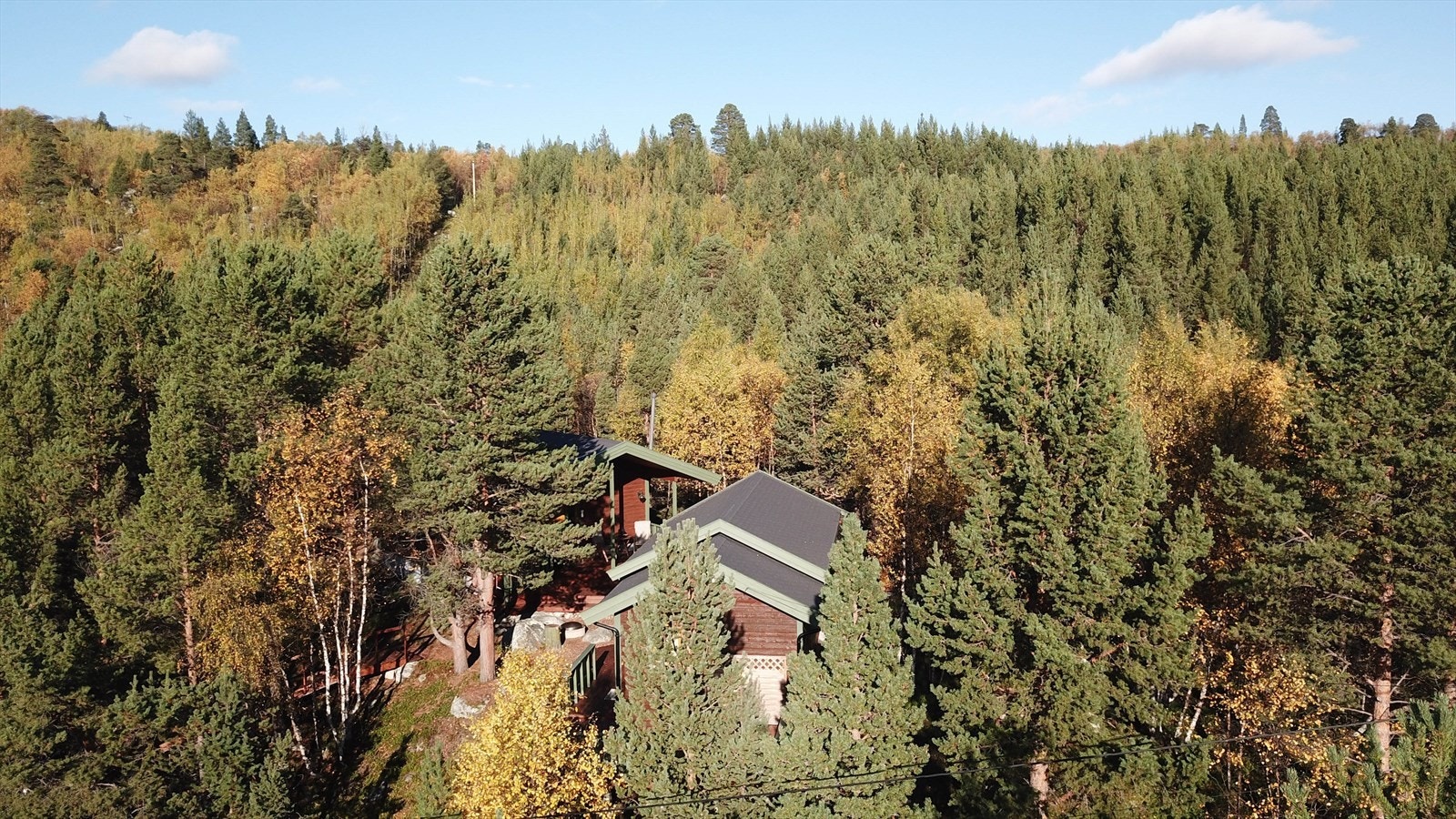 Bilde privat Galleribilde