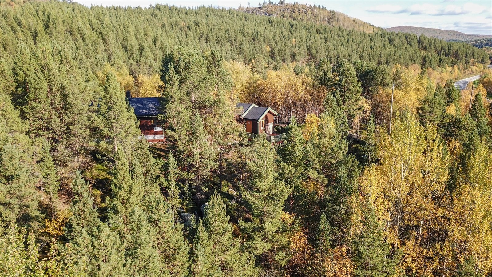 Bilde privat Galleribilde