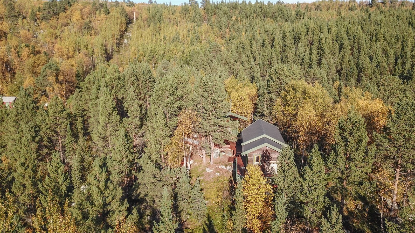 Bilde privat Galleribilde