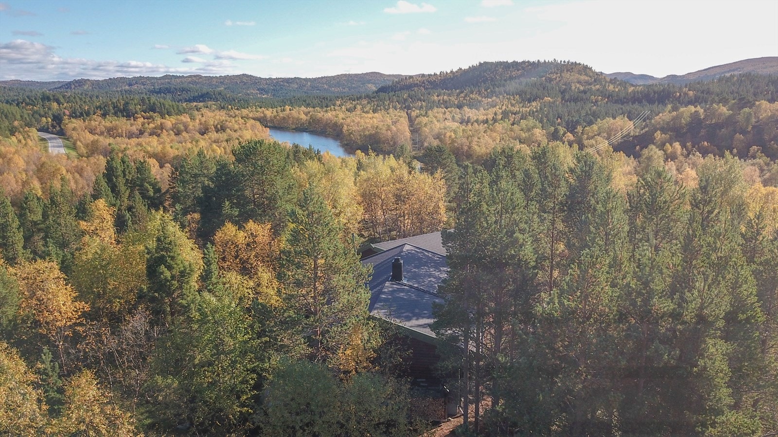 Bilde privat Galleribilde