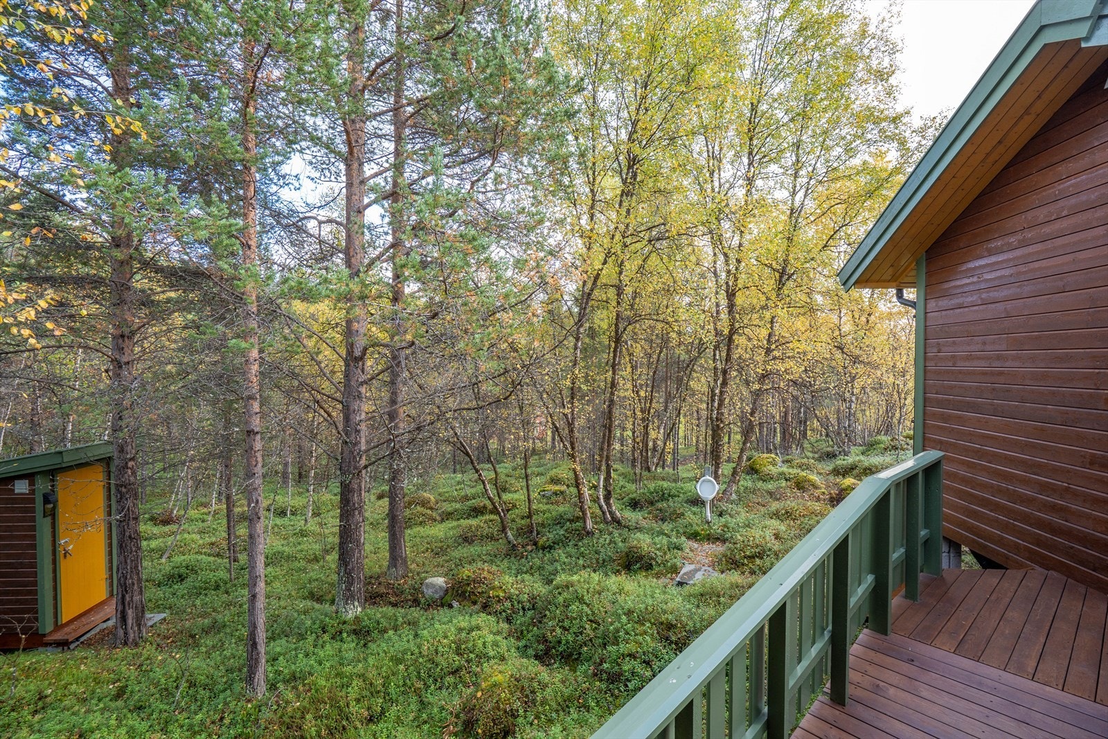 Koselig hytte i naturskjønne omgivelser, omgitt av frodig skog. Perfekt for friluftsentusiaster som søker ro og fred. Galleribilde