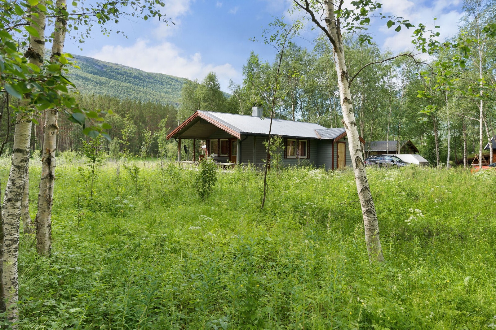 Utendørs Galleribilde