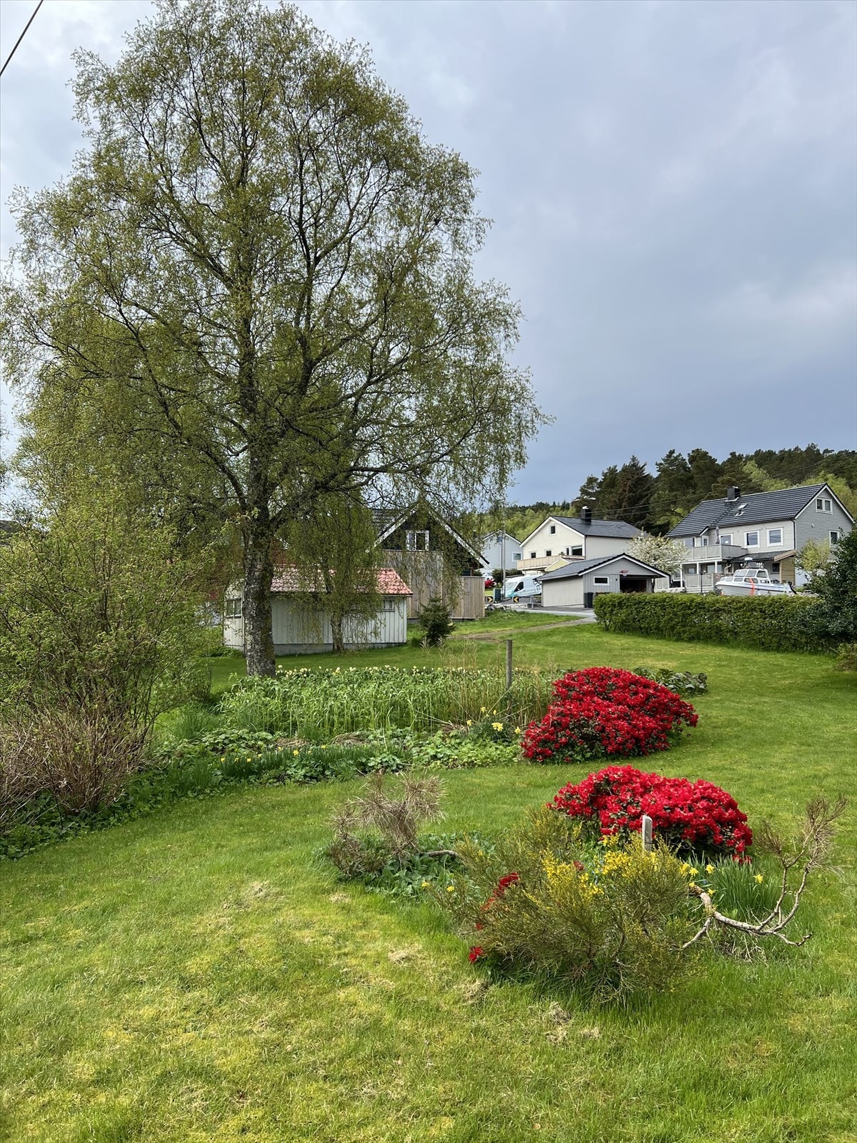 Bilde tatt av selger. Galleribilde