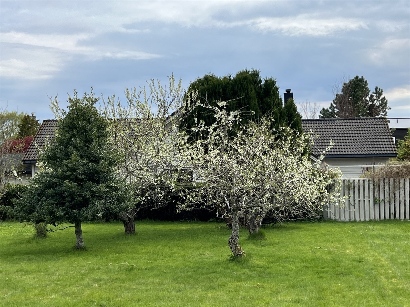 Bilde tatt av selger. Galleribilde