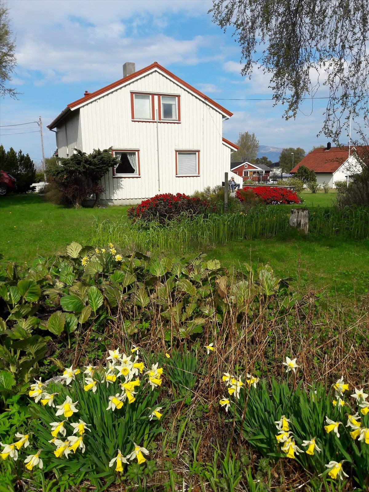 Bilde tatt av selger. Galleribilde