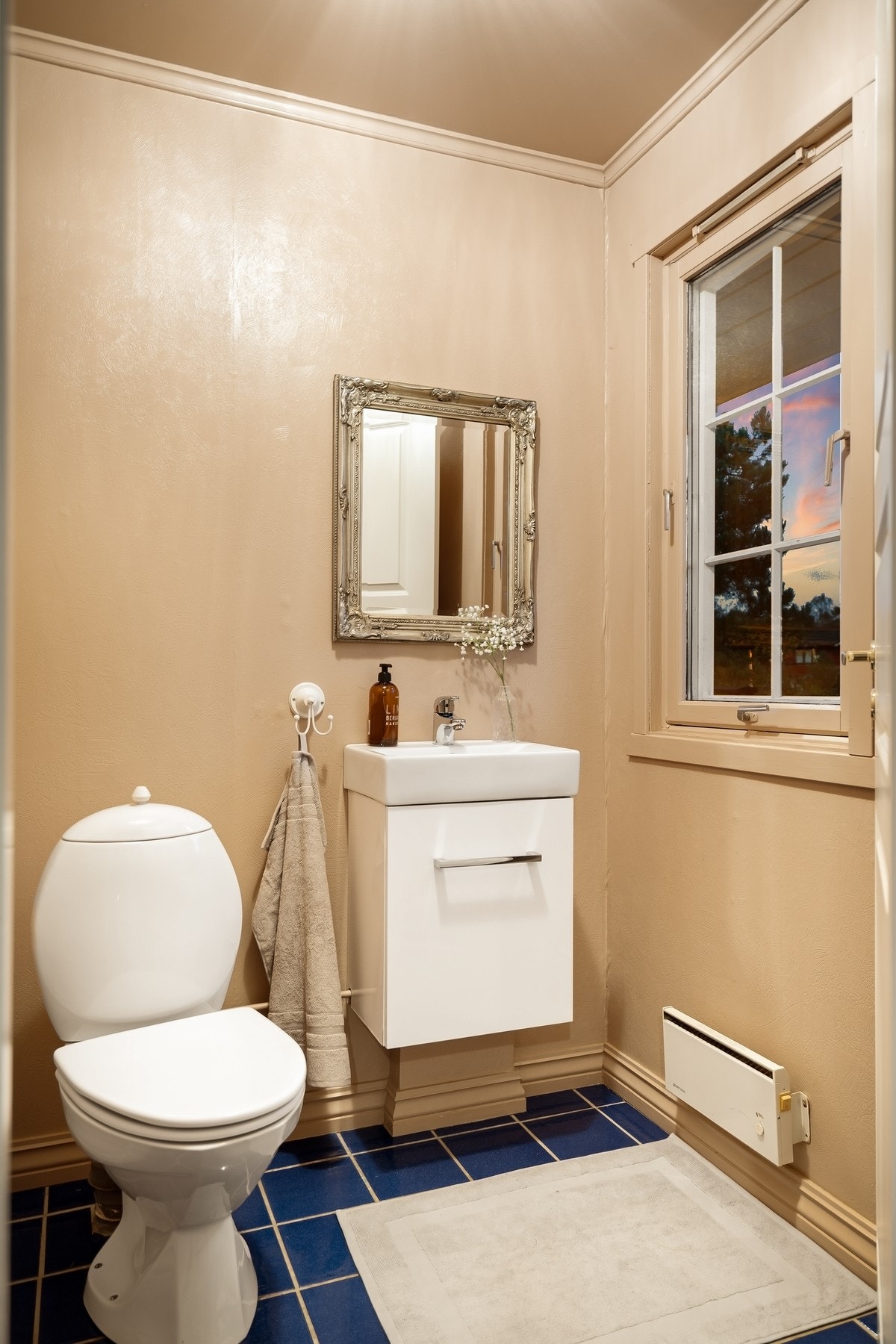 Praktisk toalettrom i forbindelse med gangen Galleribilde