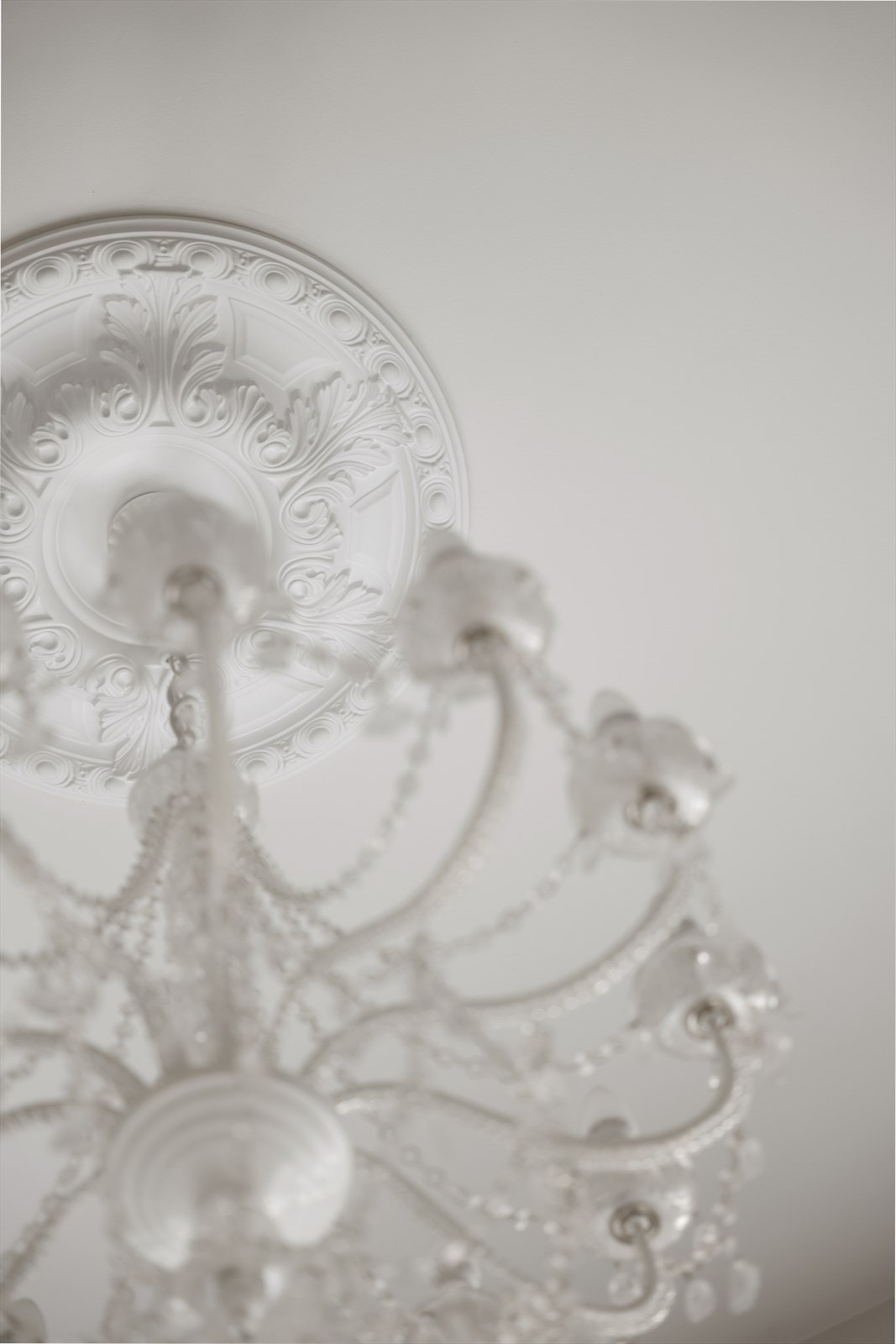 Detaljbilde. Galleribilde