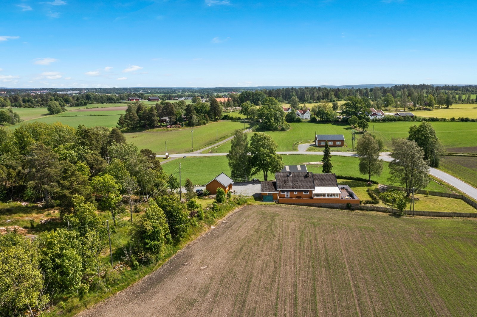 Det vesle skogholtet til venstre i bildet følger med eiendommen Galleribilde