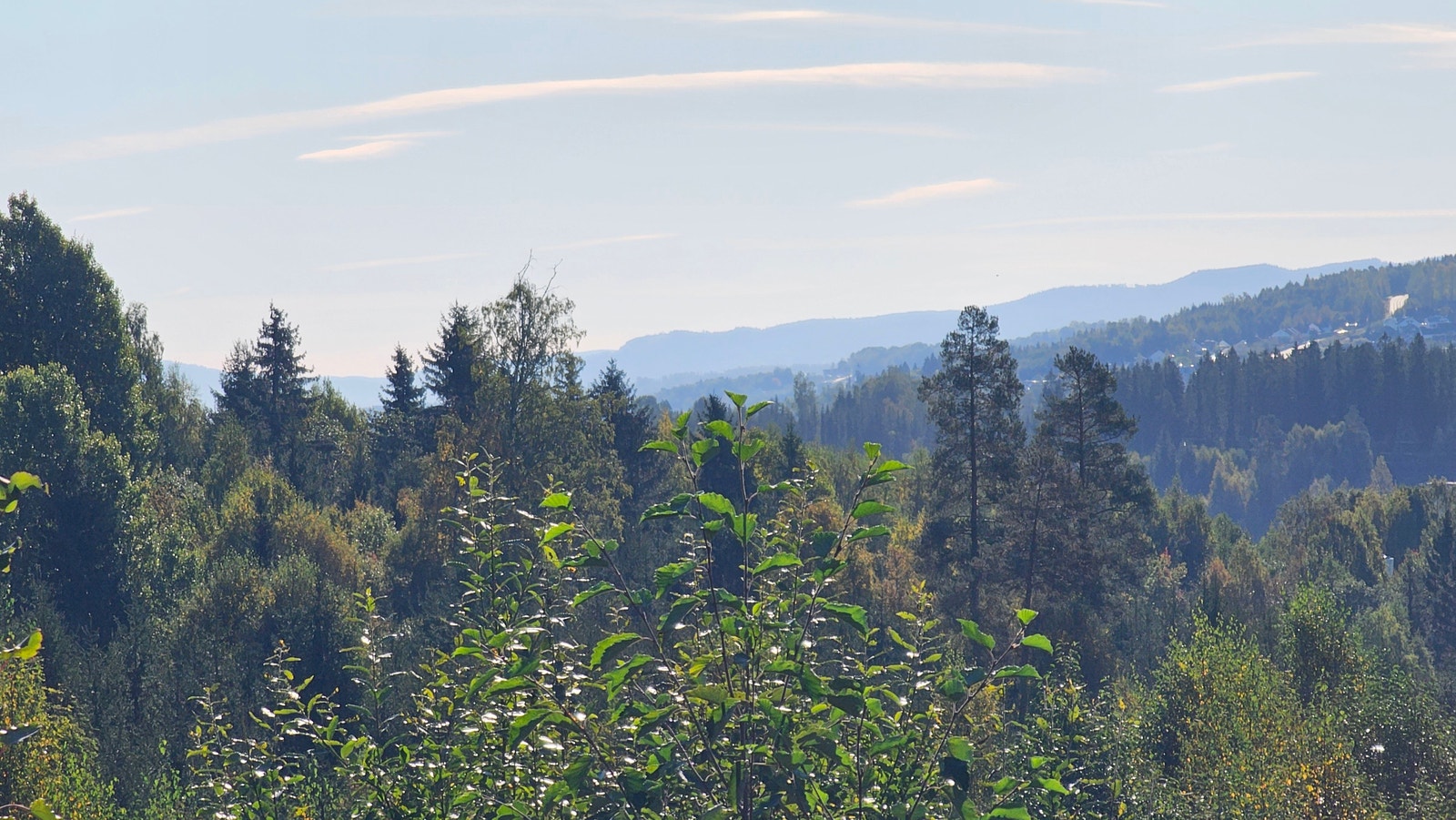 Utsikt i retning Mjøsa og Totenåsen