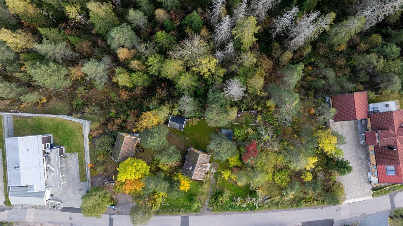 Tomten har gode solforhold. Galleribilde