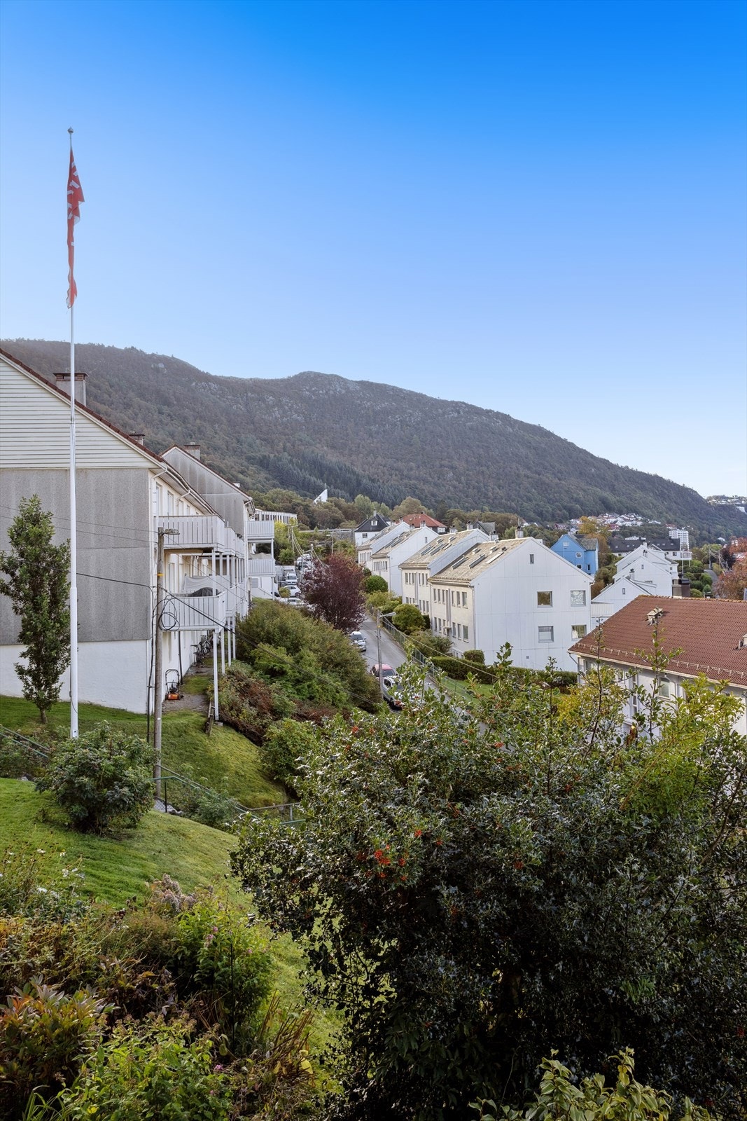 Flott nabolag Galleribilde