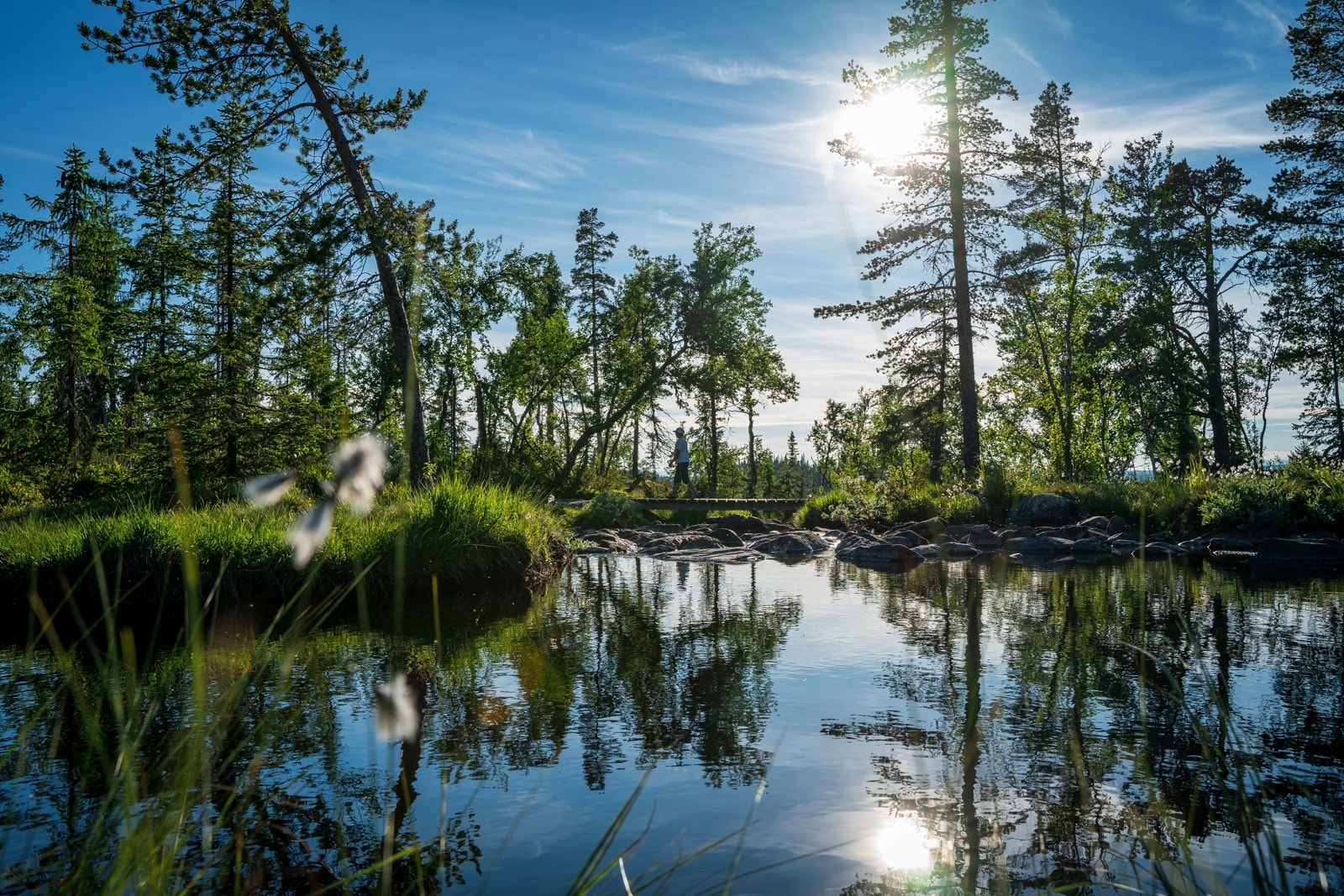 Flotte tur- og sykkelopplevelser i naturskjønne omgivelser. Her fra Skogstjernet ved Tverrlia - starten på sykkelstien over til Bøgaset hyttegrend