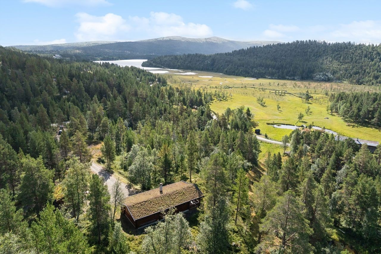 Naturskjønn beliggenhet med nærhet til Savalens vakre landskap og rike turmuligheter. Galleribilde