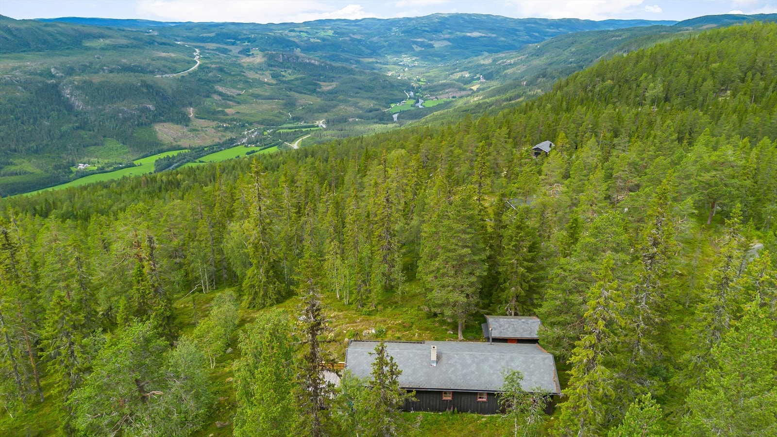 Velkommen på visning! Galleribilde