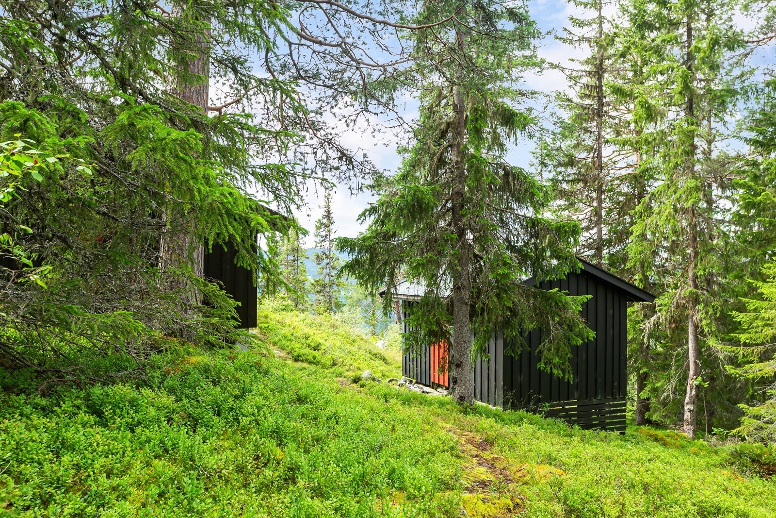 På tunet er det uthus med god plass til ved og utstyr, samt utedo. Galleribilde