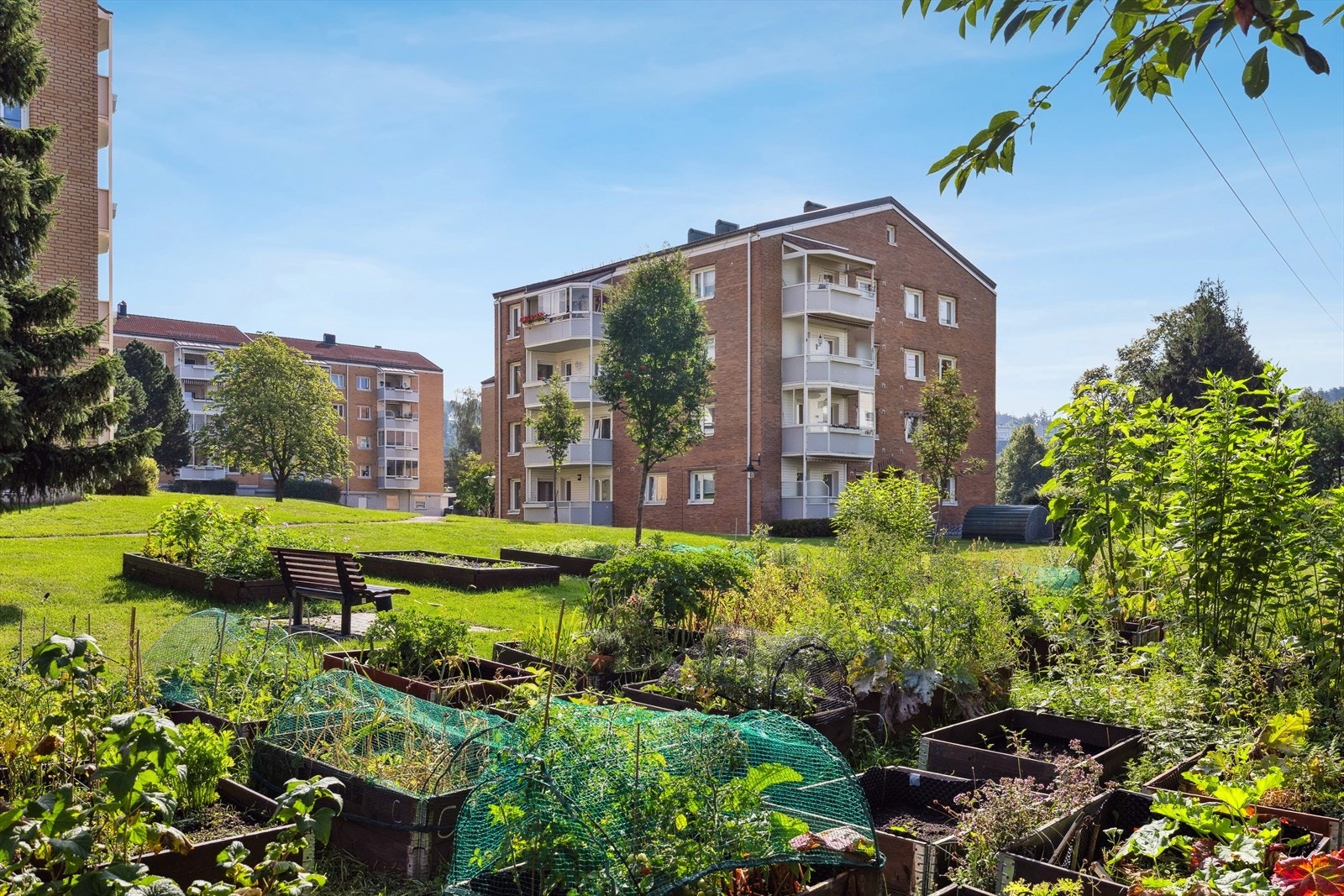 Områdene rundt bebyggelsen er opparbeidet med plen og beplantning som er lett tilgjengelig for beboerne. Galleribilde