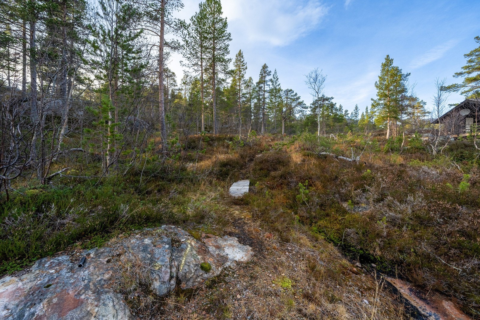 - Velkommen til Badstogdalen Hyttegrend 43 & 45 - Galleribilde