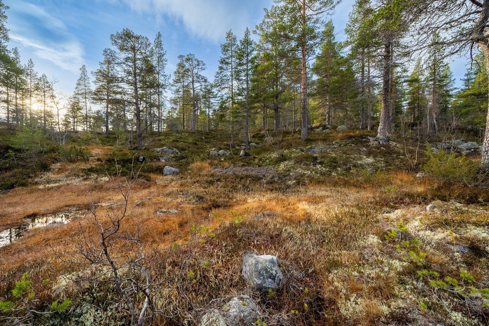 - Velkommen til Badstogdalen Hyttegrend 43 & 45 - Galleribilde