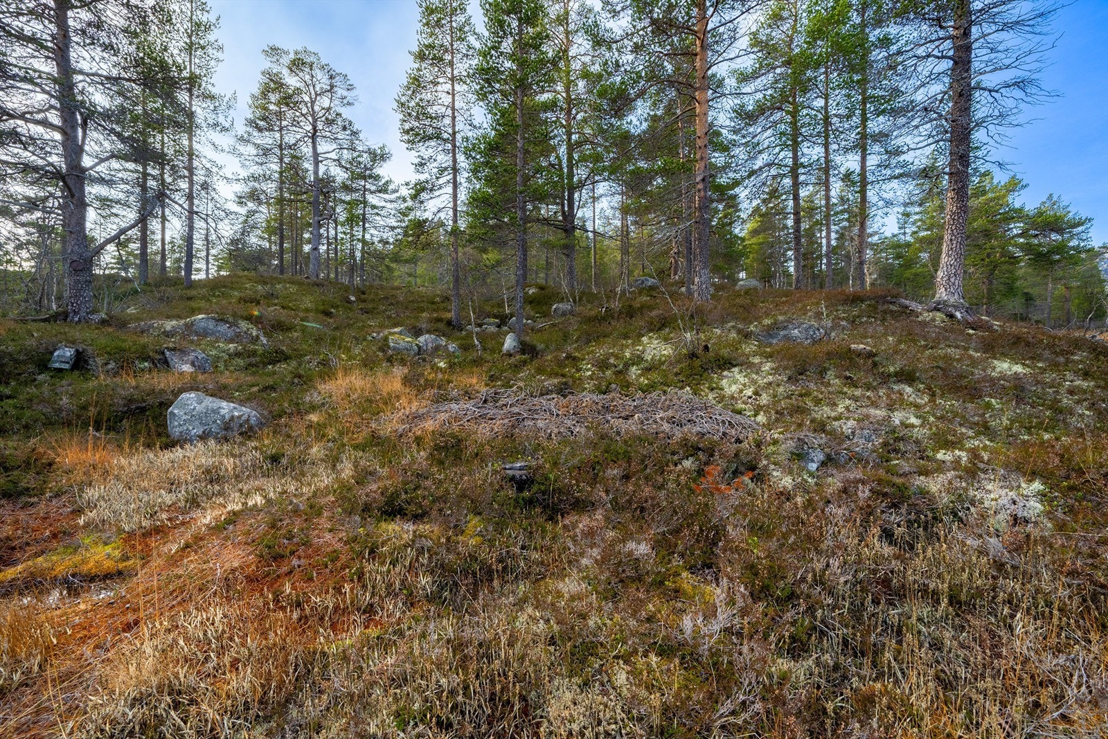 - Velkommen til Badstogdalen Hyttegrend 43 & 45 - Galleribilde