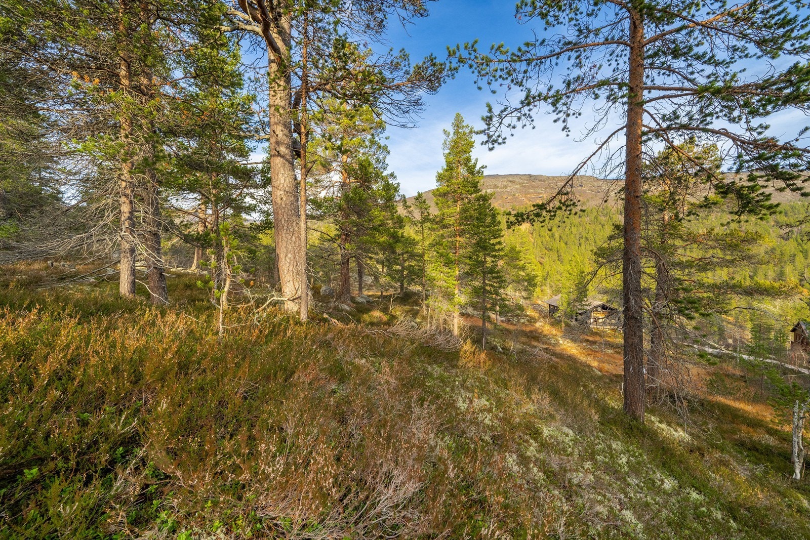 - Velkommen til Badstogdalen Hyttegrend 43 & 45 - Galleribilde