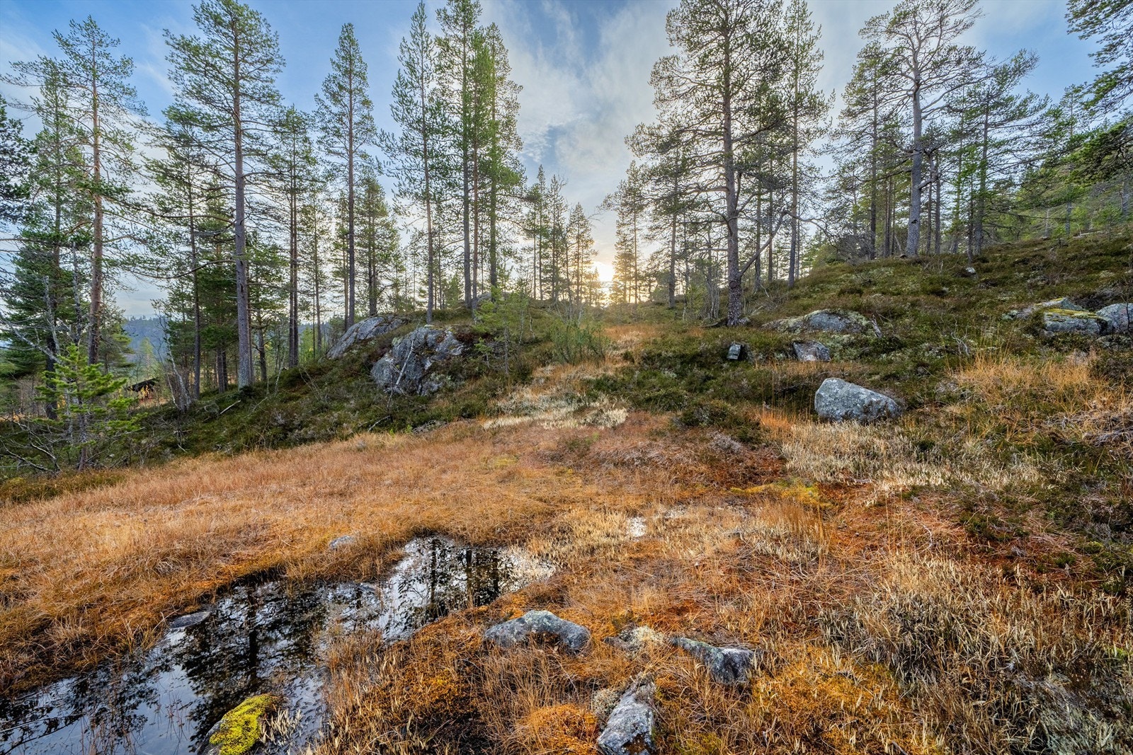 - Velkommen til Badstogdalen Hyttegrend 43 & 45 - Galleribilde