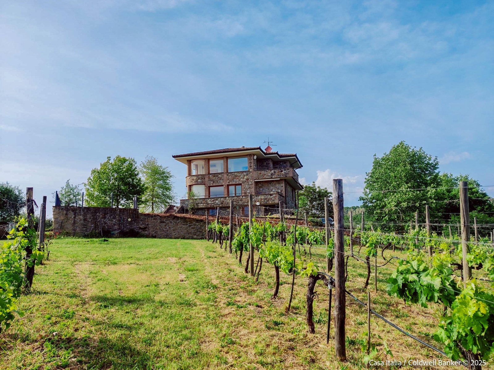 Bare det å kunne plukke sine egne druer - eller kanskje få vin fra egne ranker - er en bonus. Galleribilde