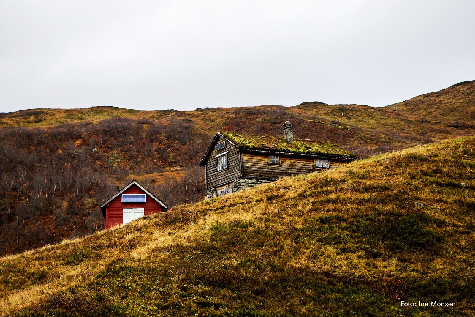 Høst i Myrkdalen Galleribilde
