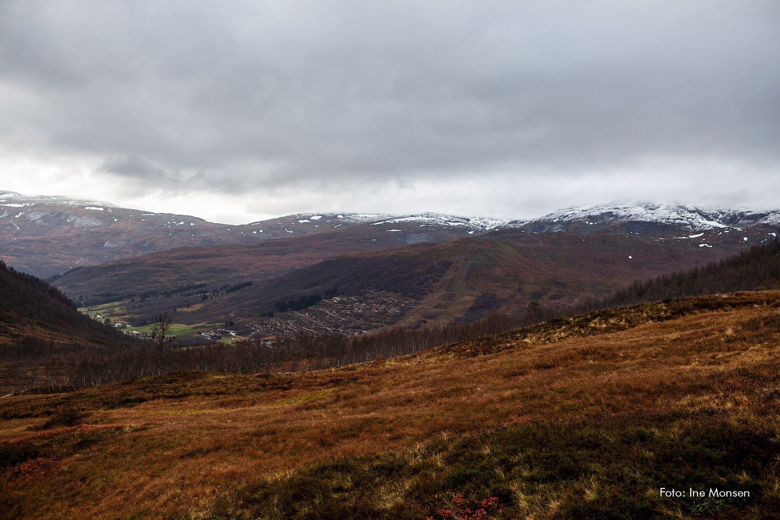 Høst i Myrkdalen Galleribilde