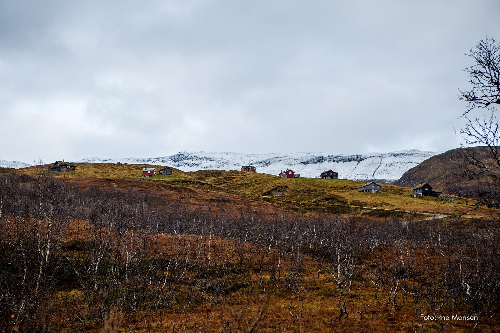 Høst i Myrkdalen Galleribilde