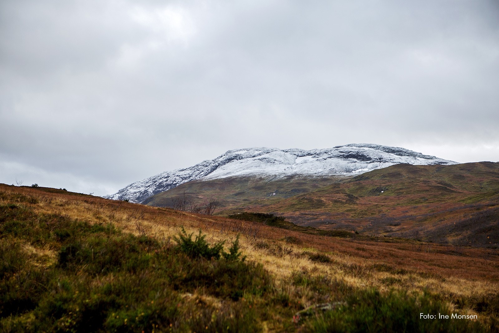 Høst i Myrkdalen Galleribilde
