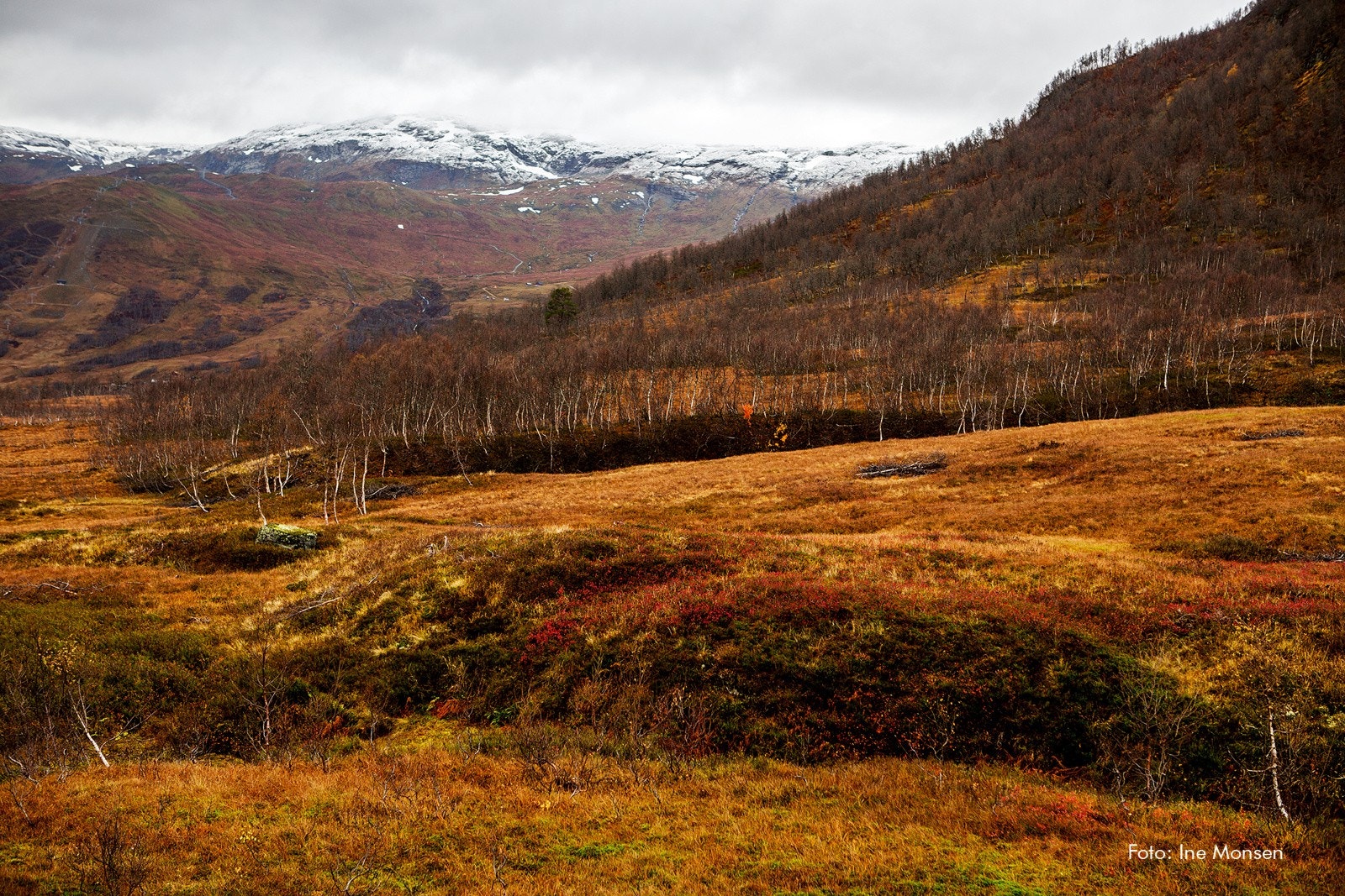 Høst i Myrkdalen Galleribilde