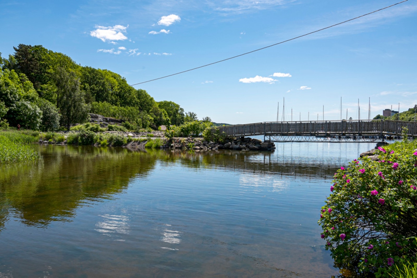Flotte turområder langs kysten i Melsomvik. Galleribilde